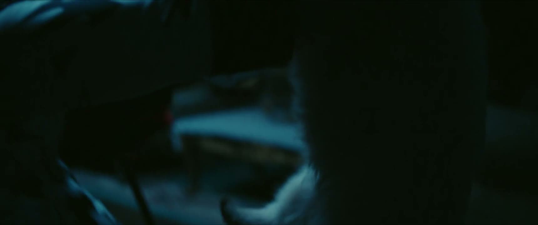 姨姨对你不好吗