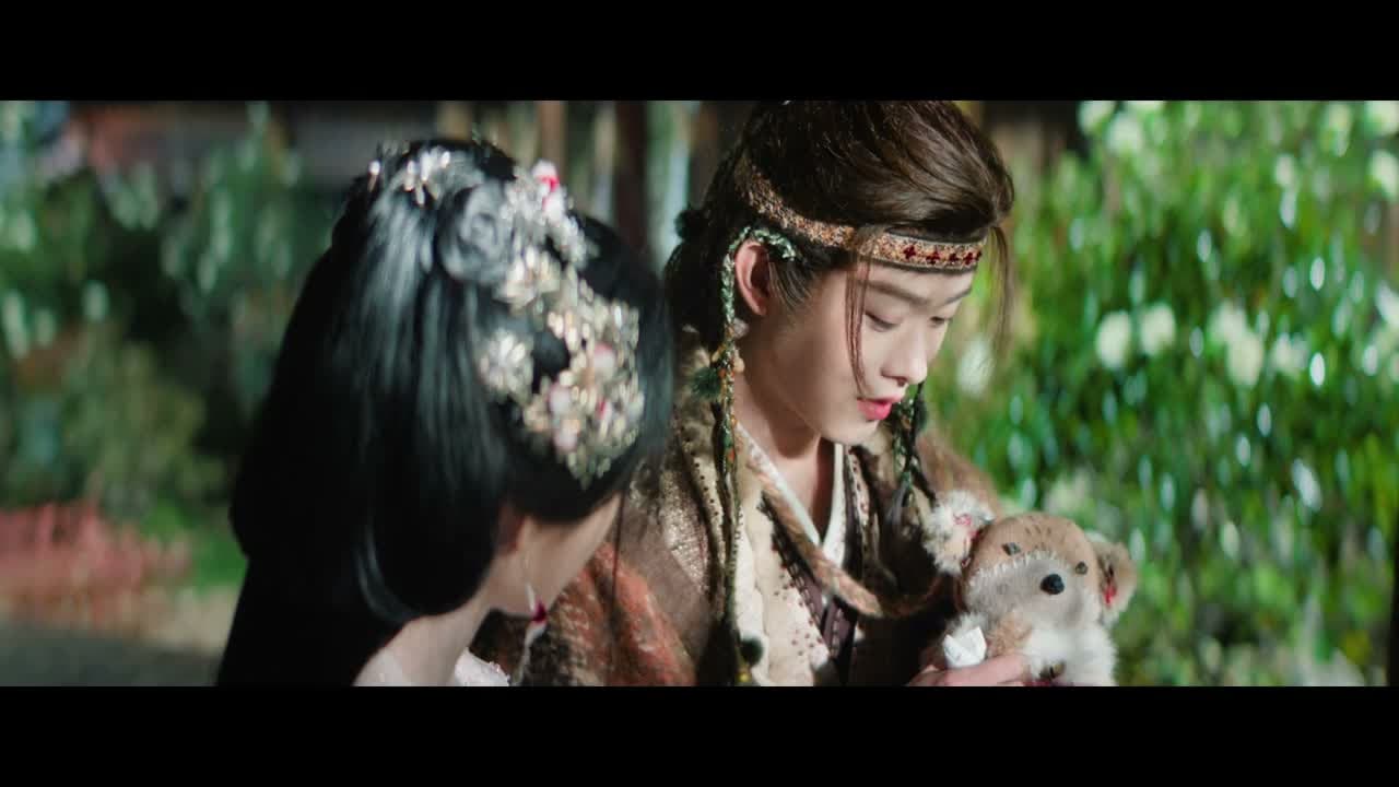 形影不离的伙伴